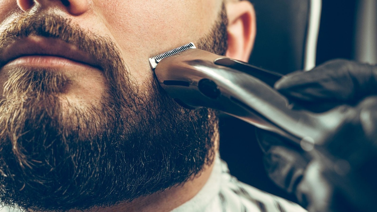 13 Signs It's Time to Schedule a Beard Trim